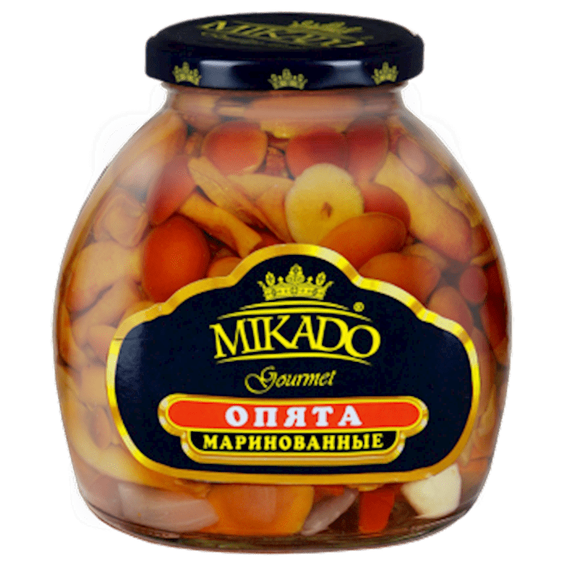 NAMEKO OPYATA MUSHROOMS 580 ML